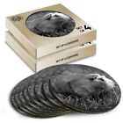 8x Round Coasters in the Box - BW - Ginger Guinea Pig Rodent  #36491