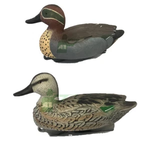 Teal Decoy Anatra Galleggiante Corpo Intero HD Maschio Femmina Polla Drake - Foto 1 di 1