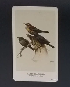 General Cigar Company Trading Card - No. 11 Rusty Blackbird - Card 2 - Bild 1 von 2