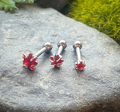 3 件装 Value Pack 3 毫米-4 毫米-5 毫米 Prong 套装 Star Gem Tragus 软骨戒指 16 克 1/4 — 第 1/4 张图片