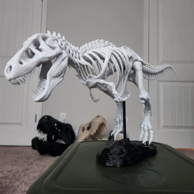 Trex Full Skeleton "Bone white" Assembly Kit - Image 1 of 4