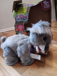 Furreal Pets,Koala Kristy,Hasbro,interaktiv,4 plus,Sound,Geräusche,laufen - Bild 1 von 7
