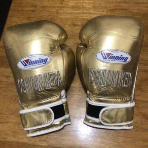 Winning Boxhandschuhe 14oz Schnürschuhe MS-500 Orange Schwarz Weingrün Rot Or... - Bild 1 von 6