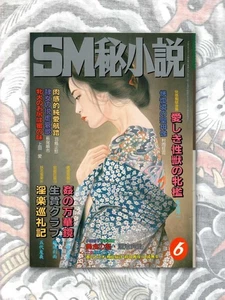 SM Secret Stories Kinbaku Japan Vintage Kaname Yoko Ozuma Irezumi Cover Art 1993 - Picture 1 of 2