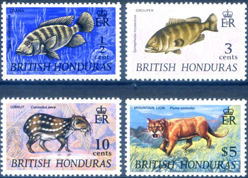 Definitive. Fish. 1968 lying watermark. — 第 1/1 张图片