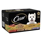 Cesar Country Stew Mixed Selection Wet Dog Food Tray 24 x 150g