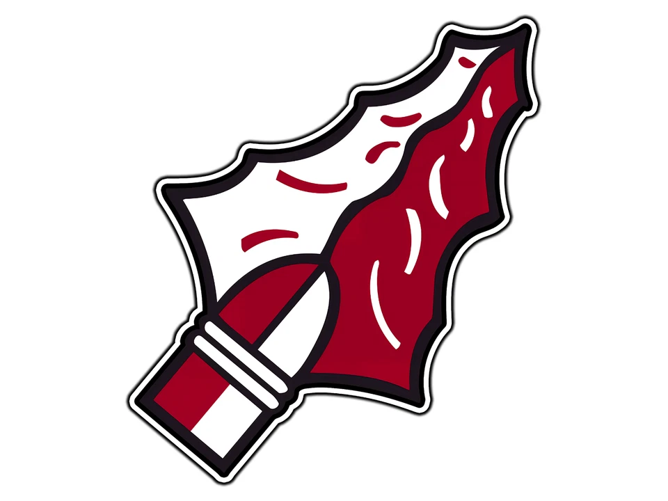 #0274 FSU Arrow Tip Logo College Sticker Waterproof Vinyl Decal Die-Cut Car  - Image 1 of 1