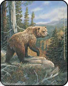BIG GRIZZLY BEAR GRIZZLIES FOREST Bed Bedroom HEAVY Weight Blanket FULL / QUEEN - Picture 1 of 1