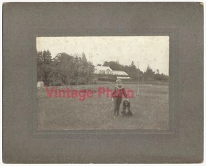 Großes Original Foto von Junge & Hund auf Grand Connecticut Estate mit Gewächshäusern - Bild 1 von 1