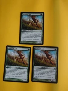 Seedguide Ash x3 Treefolk Druid MTG 3 Karten.  Lorwyn. - Bild 1 von 7