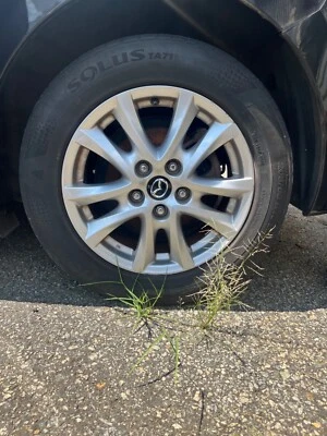 Asiento del conductor Mazda 3 2018 Foto 1 de 2