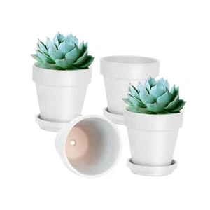 6 Inch White Terracotta & Clay Pots for Plant with Saucer - 4 Pack Medium - Picture 1 of 7