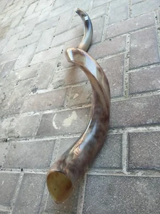 Shofar Yemenita Kudu Cuerno Kosher Pulido Completo de Israel XLarge 40""-42"" Israel - Imagen 1 de 8