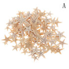 Sea Shells Size:0.5-3Cm 100Pcs Mini Starfish Craft Decoration Natural Sea St&Bd