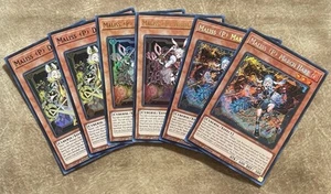 Maliss Competitive Deck Core w/ Collector Rare Extra Deck & 15pcs Sleeves+. - Picture 1 of 5