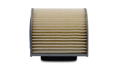 Filtro de aire premium MIW para Yamaha YX 600 Radian 1986-1990 Foto 1 de 3