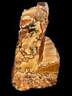 BIGGS+PICTURE+JASPER+SLAB+-GREAT+LINES+AND+PATTERNS%21+Ops+Stock