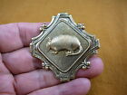 (B-Armad-1) Armadillo Desert Dillo Turtle-Rabbit Brass Pin Pendant Shell Jewelry