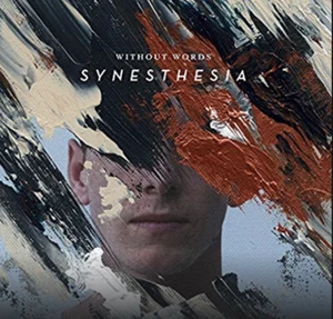 Without Words Synesthesia CD - New Sealed Bethel It Is Well - Oceans - Closer - Picture 1 of 6