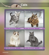 Liberia Cats Stamps 2020 MNH American Shorthair Maine Coon Ragdoll Cat 4v M/S