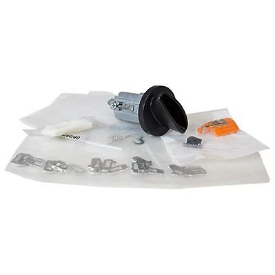 Cilindro de bloqueo de encendido SW-6383 Motorcraft nuevo para furgoneta E150 E250 E350 E450 E550 Foto 1 de 4