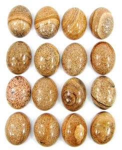 218.80 Ct Natural Picture Jasper Gemstone 15x20 mm Cabochon 16 Pcs Lot - 61186 - Picture 1 of 2