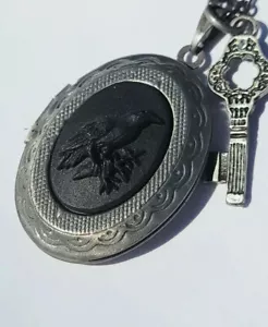 Raven Crow Bird Goth Locket Necklace Viking PHOTO Picture CAMEO Pendant Boho - Picture 1 of 10