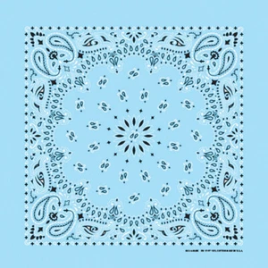 Carolina Creative Bandanna (Light Blue) Paisley Print 22" x 22" Hav-A-Hank - Picture 1 of 1