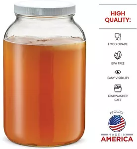 1-Gallon Glass Jar Wide Mouth with Airtight Plastic Lid BPA-Free Dishwasher Safe - Picture 1 of 4