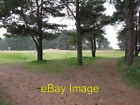 Photo 6x4 Pine trees on Prince's Golf Links Sandwich  c2009