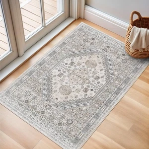 2x3 Entryway Rug, Soft Washable Rugs, Non Slip Area Rug, Stain Resistant Low ... - Picture 1 of 7