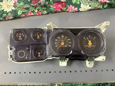 Camión Chevy GMC 1973-1980 cuadro de instrumentos medidores 73-80 OEM Foto 1 de 4