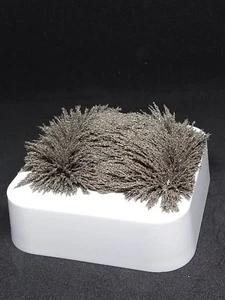 Escultura magnética con limaduras de hierro (rellenos) pantalla magnética o demostración - Imagen 1 de 3