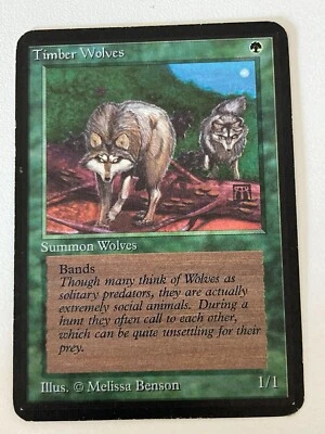 Magic the Gathering MTG Alpha TIMBER WOLVES LP (Beta Bob) - Image 1 of 4