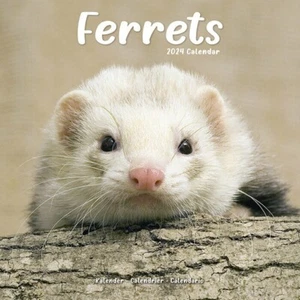 Calendrier 2024 - FURETS - Picture 1 of 2