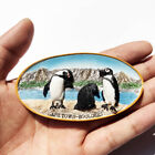 South Africa Cape Town Penguin Fridge Magnets