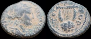 Greek Ancient coin. Seleucia and Pieria. Antioch. Æ 15 mm. 2,57 gramm. #240 - Bild 1 von 3