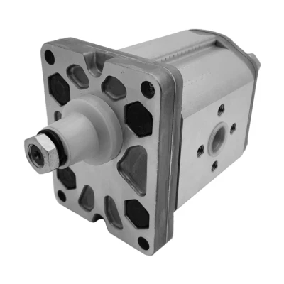 Pompa ad ingranaggi ALP2-D-34 Marzocchi Gear pump - Immagine 1 di 4