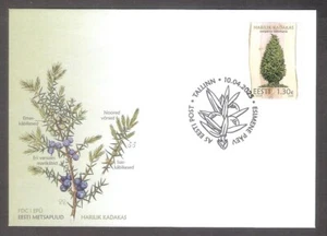 Estonian forest trees – common Juniper 2025 stamp FDC Mi 1131 - Picture 1 of 1