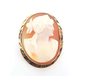 Beautiful Vintage 10ct Yellow Gold Agate Cameo Portrait Brooch 5.91g - Picture 1 of 11