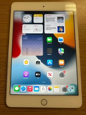 Apple iPad mini 4 16GB, Wi-Fi Only 7.9in - Space Gray A1538 MK9P2LL/A- A674 - Image 1 of 4