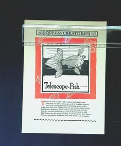 Telescope Fish queer creature Vintage whimsical  book print - Picture 1 of 2