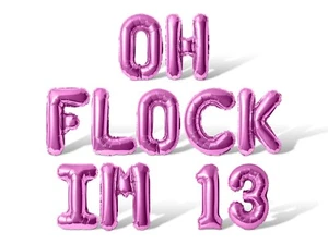 OH FLOCK IM 13 Letter Balloon Banner - 13th Birthday Party Supply Decorations - Picture 1 of 55