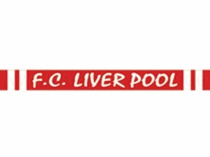 bracelet silicone LIVERPOOL FC - Picture 1 of 1