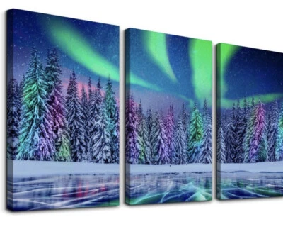Canvas Wall Art for Bedroom, Living Room-3 pieces-Aurora-Ready to Hang-12x16(a1) - Image 1 of 4