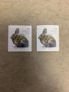 US Postage #5544-5545 Brush Rabbit 2021 Set of 2 Pane/Coil MNH Stamps Free Ship - Picture 1 of 1