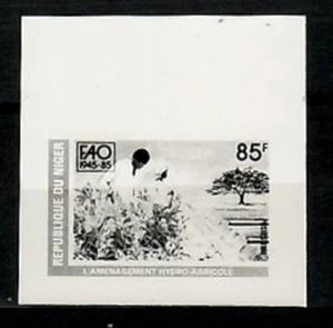 Photo Essay, Niger Sc743 FAO 40th Anniversary, Irrigation Management. - Picture 1 of 1