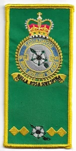 RAF PATCH 616 SQUADRON QUEENS CROWN FACS ROYAL AIR FORCE SQUADRON PATCH - Picture 1 of 1