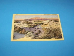 A Desert Landscape In The Southwest   Vintage Postcard   - Picture 1 of 2