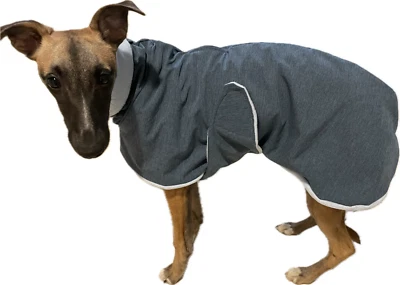 Softshell Mantel, Windhunde, Windspiel, Whippet  für Herbst und Winter - Bild 1 von 4